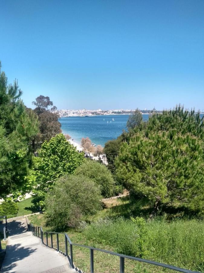 Setubal Downtown Todi I Leilighet Eksteriør bilde